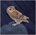 Little Owl Mosaic