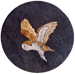 Barn Owl Hunting Mosaic